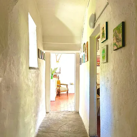 Casa Codega Интранья